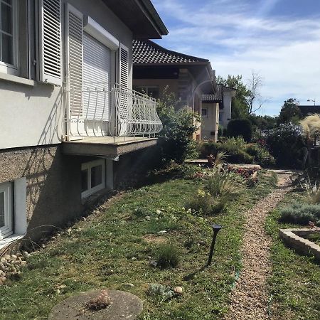 Chez Flo Διαμέρισμα Mittelhausbergen Εξωτερικό φωτογραφία